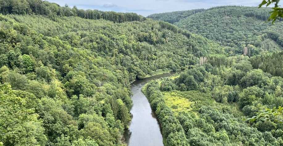 Forêt d'Anlier, près du Cottage Christine. Une belle visite à faire